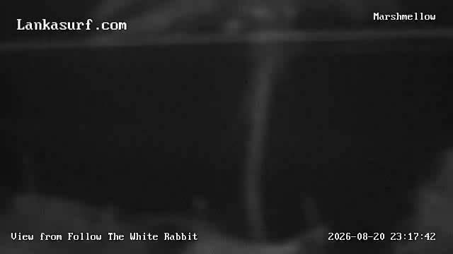 Marshmallow surf camera thumbnail